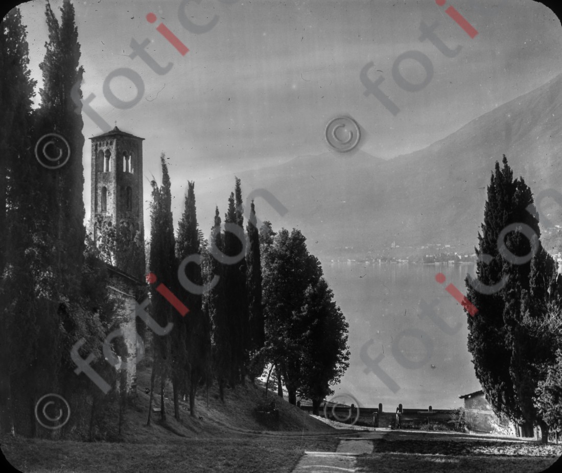Zypressen | Cypresses - Foto foticon-simon-176-019-sw.jpg | foticon.de - Bilddatenbank für Motive aus Geschichte und Kultur